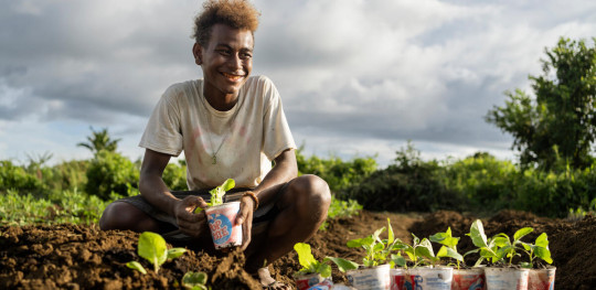CH1818880 Junior 16 planting seedlings in a community garden in Malaita Province the Solomon Islands.