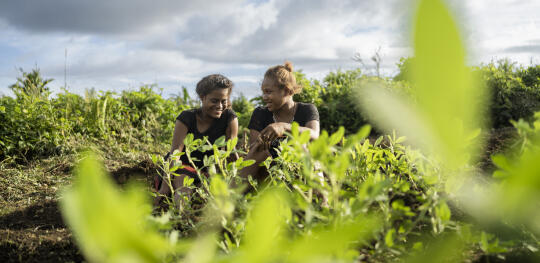 CH1818886 Katherine, 15, and Linda, 17, chatting in a community garden in Malaita Province, the Solomon Islands.