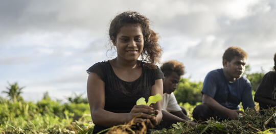 CH1818889 Catherine, 15, planting seedlings in a community garden in Malaita Province, the Solomon Islands.
