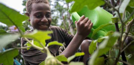 CH11271584 Charlie, 14, watering crops in a community nursery on an island in Shefa Province, Vanuatu.