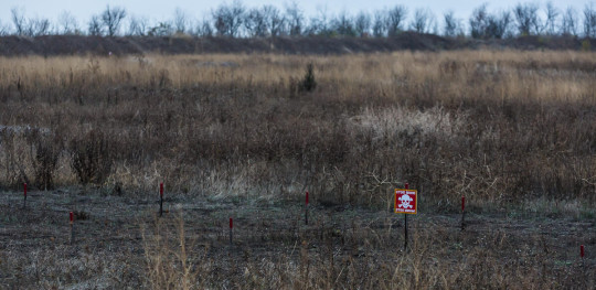 CH1493715 Landmine warning signs on the outskirts of a village in Eastern Ukraine