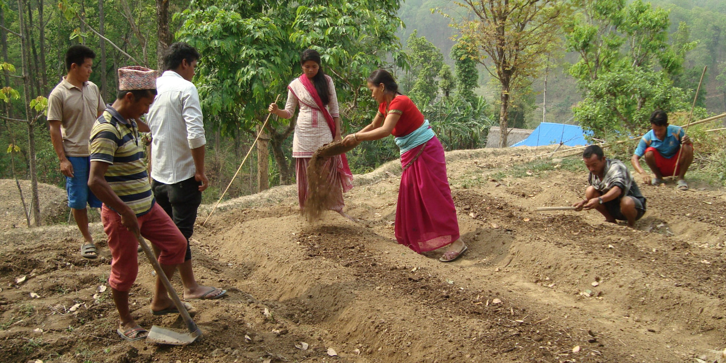 Natasha seedling production cropped