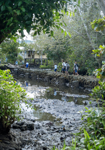 CH1818977 Children walking to school in a community affected by rising sea levels in Malaita Province the Solomon Islands v2.