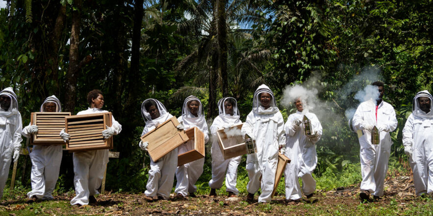 Bees Help Vulnerable Solomon Islands Communities — Save the Children